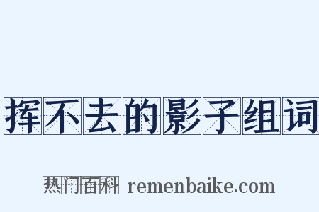 挥不去的影子组词是什么意思的图片